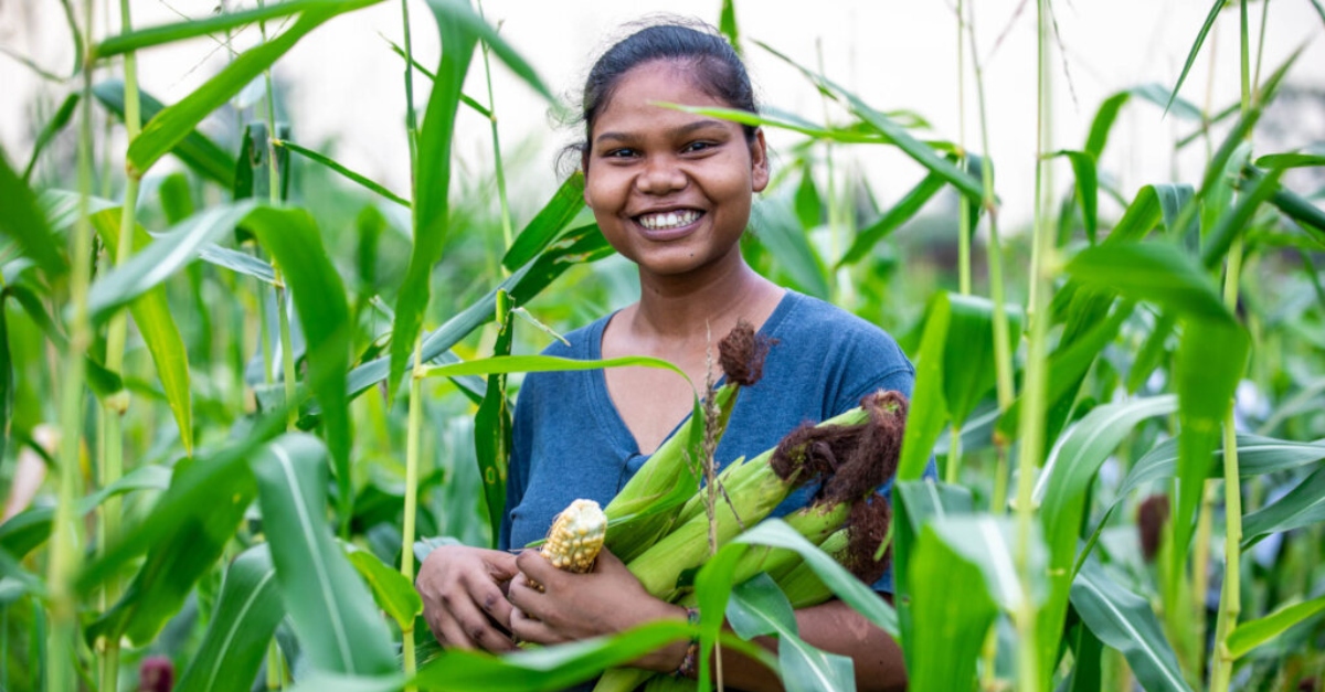 一个女孩站在玉米地里，怀里抱着玉米穗