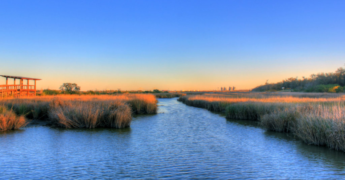 德克萨斯州休斯顿的湿地