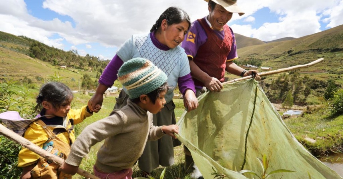 一个秘鲁家庭兴奋地低头看着一个装着树的袋子。绿色的山丘填满了背景。