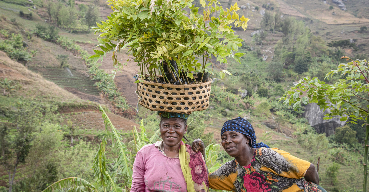 一个女人头上顶着一个篮子，篮子里装着植物，站在一个女人旁边，手搭在她的肩膀上。背景是多山的田野。互助是什么意思?