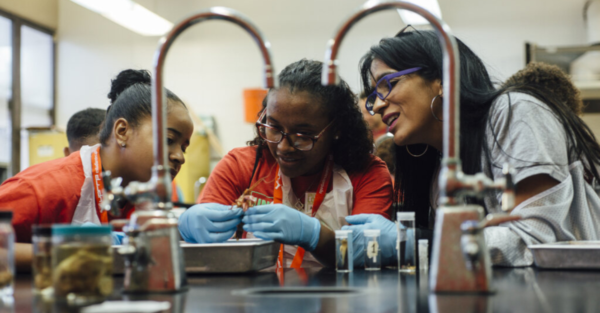 两个戴着蓝色一次性手套的学生和一位女士在科学实验室里工作。审查非营利合作伙伴