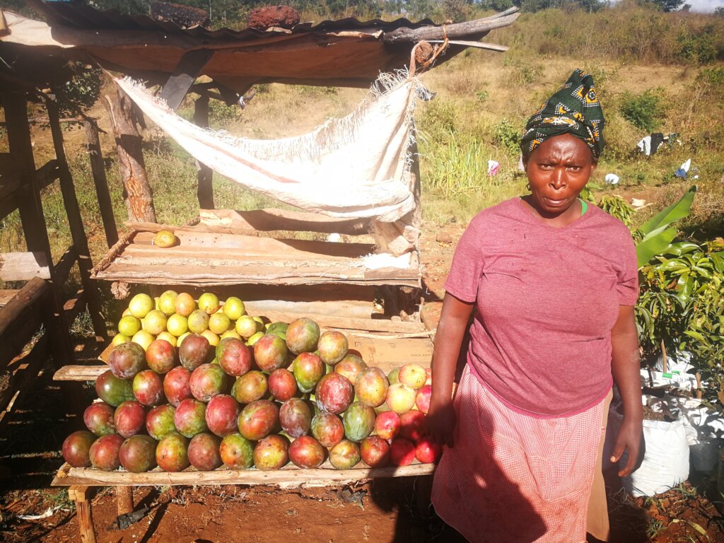 肯尼亚农村妇女的社会经济赋权