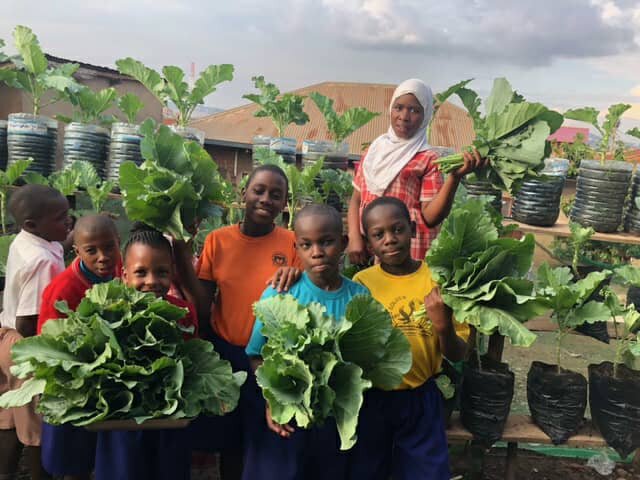 为全世界的学校花园提供种子和支持