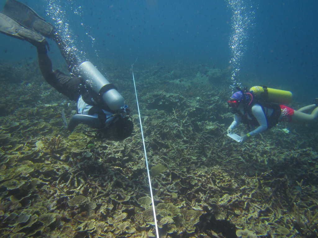 礁监测调查