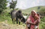 2019冠状病毒病:印度农村社区的救济