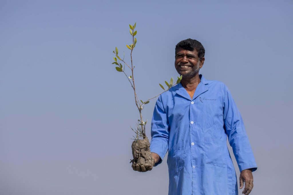 捐赠一棵树:捕获碳