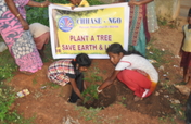 种一棵树:拯救地球和生命