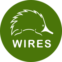 新南威尔士州野生动物信息救援和教育服务(WIRES)