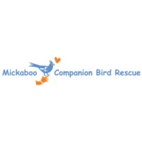 米卡布伙伴鸟救援