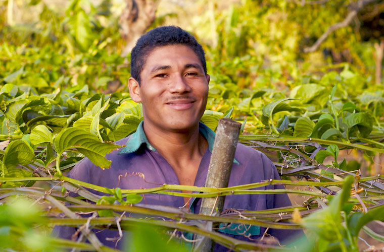 支持尼加拉瓜农民的可持续发展
