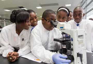 学生们在显微镜下观察