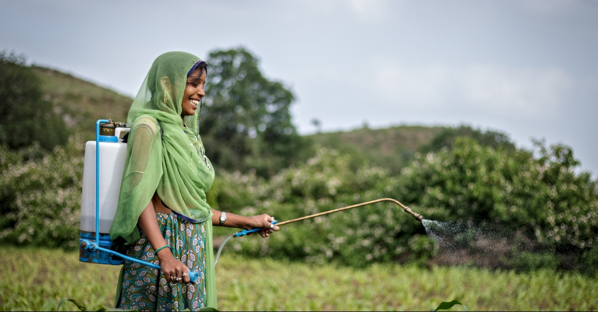 印度妇女务农。为环境非营利组织提供资源。卡塔尔世界杯预测
