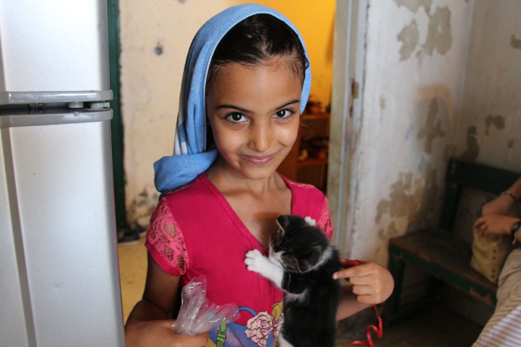 一个穿着粉色上衣的小女孩抱着一只黑白相间的小猫