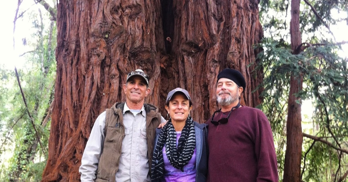 加州大盆地红杉州立公园，唐娜·卡列琼和她的兄弟们站在一棵巨大的红杉前。