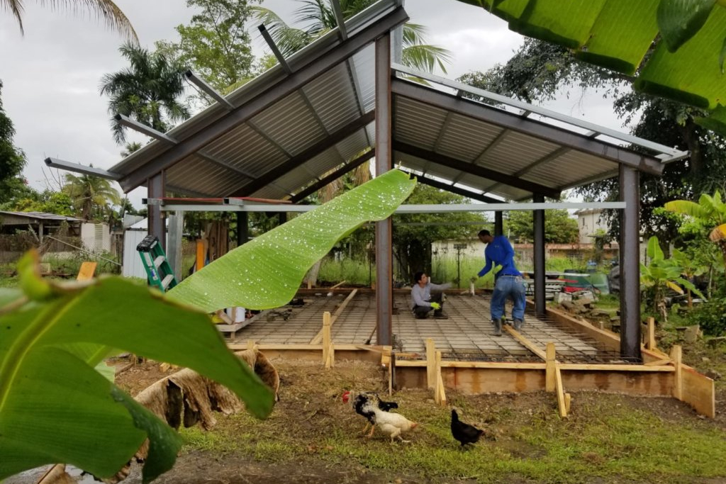 工人们在建造房子的框架。鸡在建筑前的草地上行走，香蕉叶填充了框架的角落。