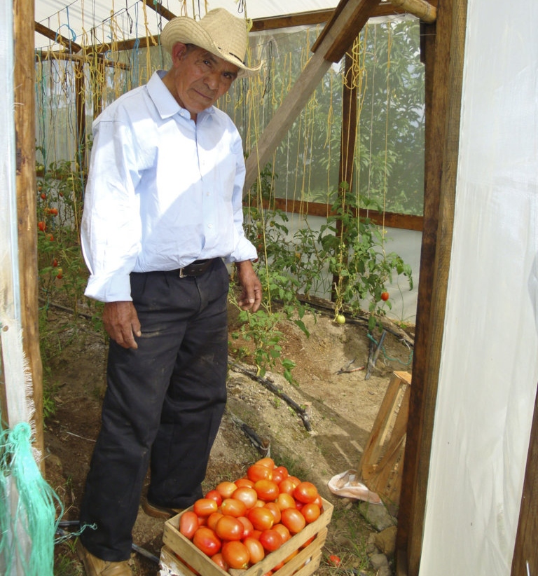 一个戴着帽子、衬衫扣着扣子的男人站在一个装满红色西红柿的木箱后面——这是社区气候行动计划的一部分