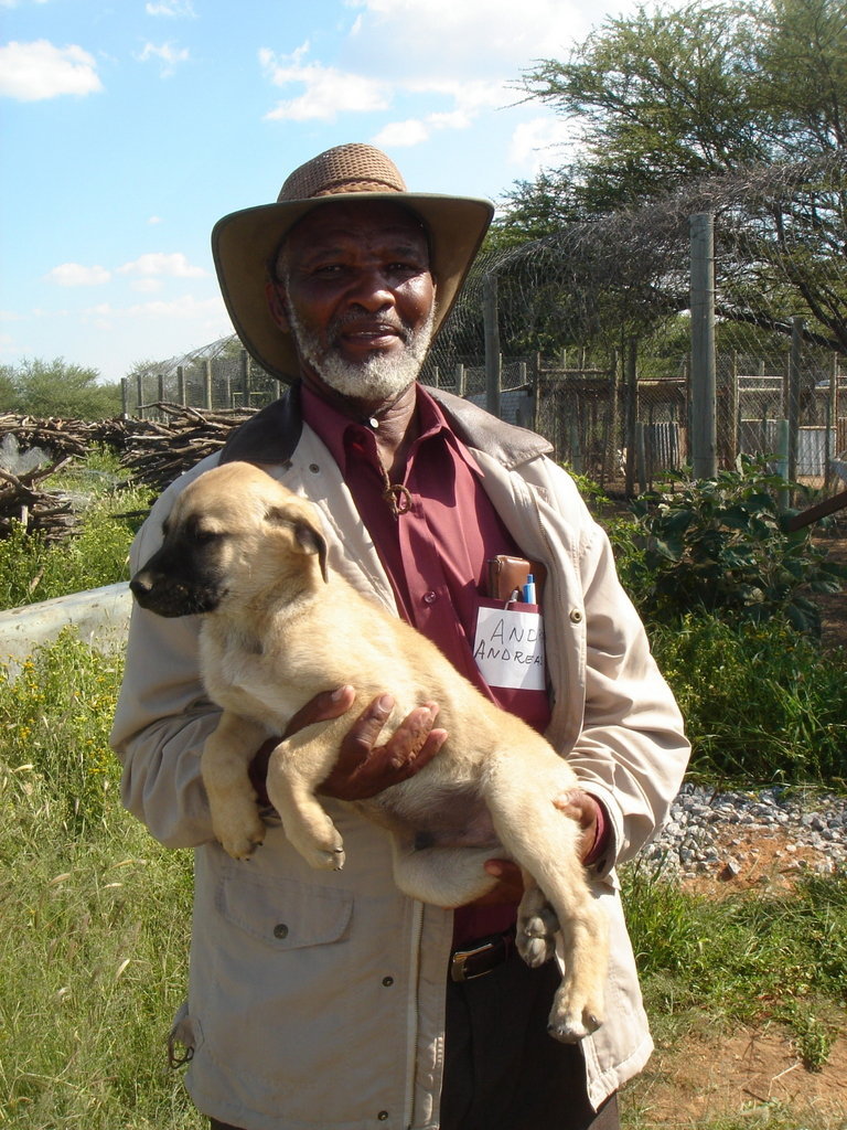 纳米比亚农民和他的小狗
