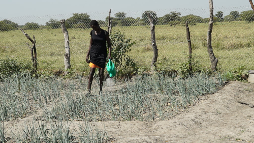 在南苏丹用农业对抗饥荒
