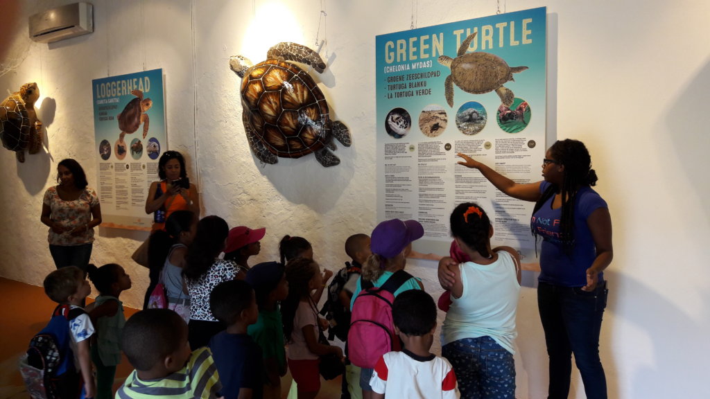 海龟博览会在Landhuis Savonet举行