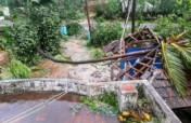 印度南部飓风“加贾”造成的破坏