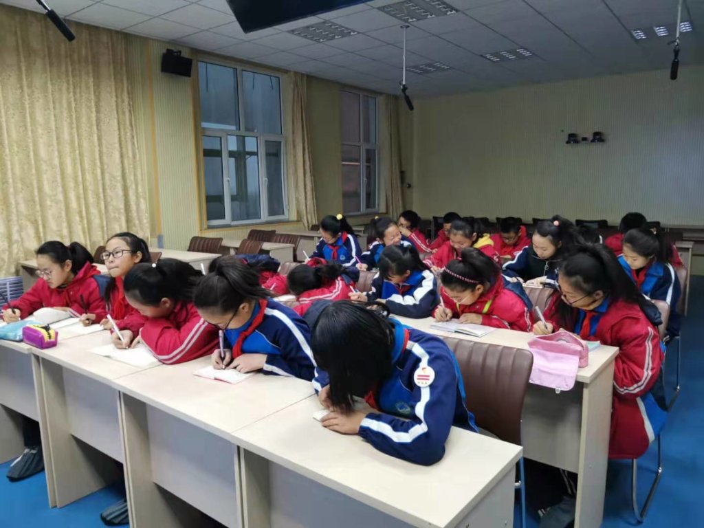 努力学习的学生(内蒙古8年级)