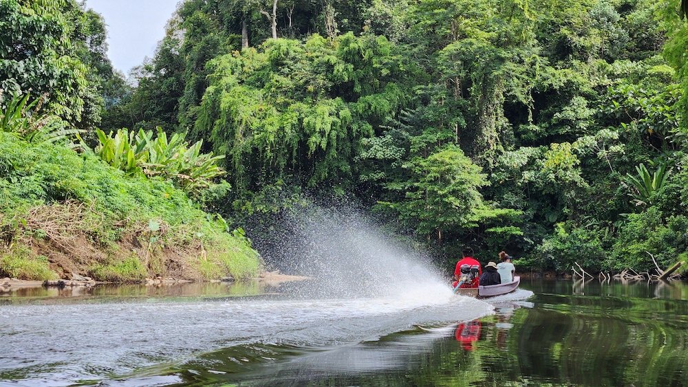 支持婆罗洲的土著森林保护