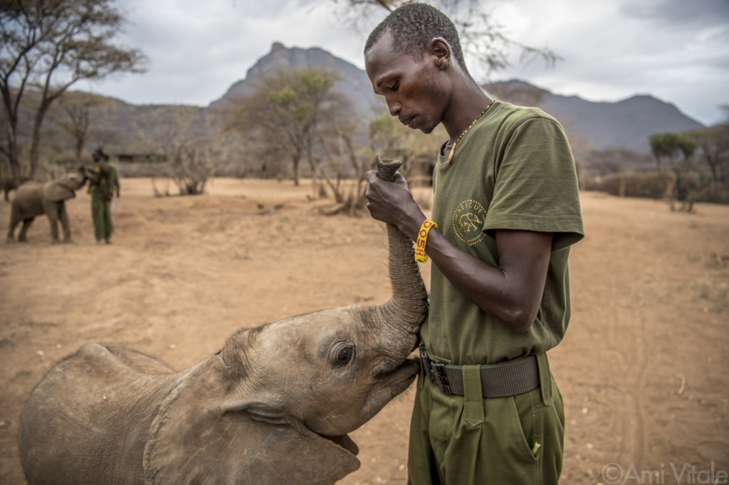 帮助肯尼亚唯一社区经营的大象保护区