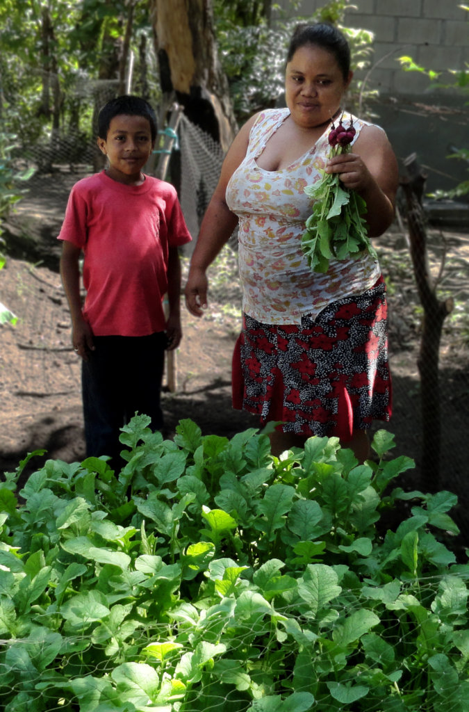 一名妇女和她的儿子展示他们的萝卜作物
