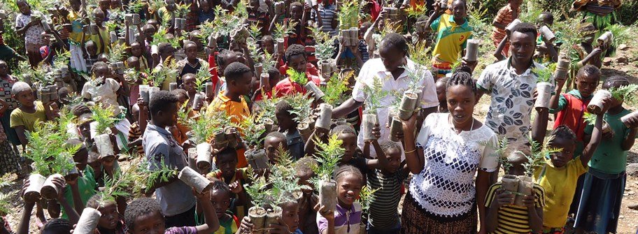 培育植物-在埃塞俄比亚培育和平