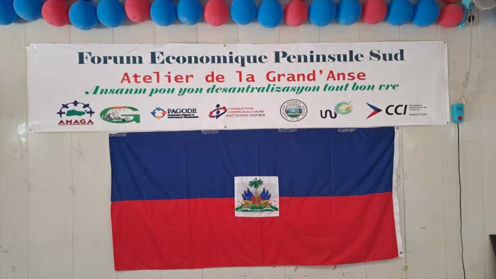 海地人的地震团结项目4
