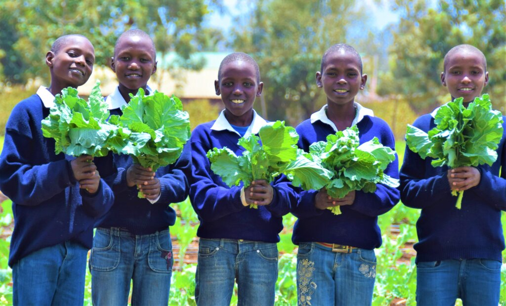 健康的学习者:肯尼亚的家庭学校餐