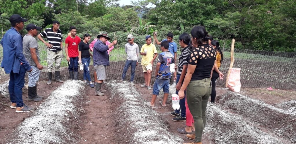 气候变化的弹性家庭在洪都拉斯