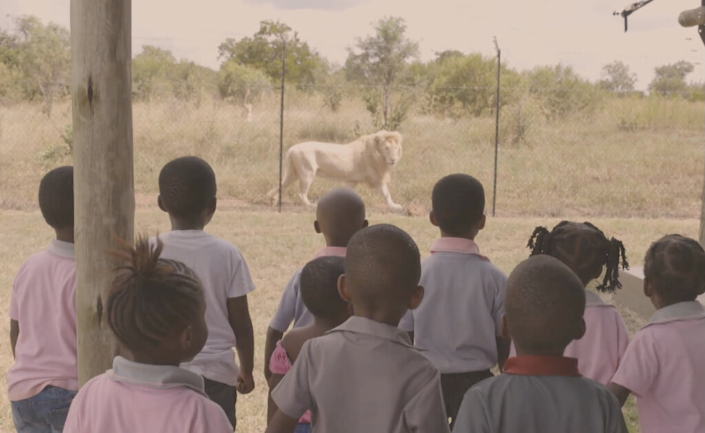 帮助南非农村的孩子们看到野生动物