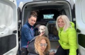 紧急基金:一起救助乌克兰动物