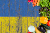 乌克兰难民和国内流离失所者复原花园
