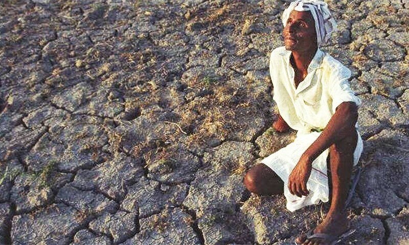 帮助巴基斯坦Cholistan遭受旱灾的家庭