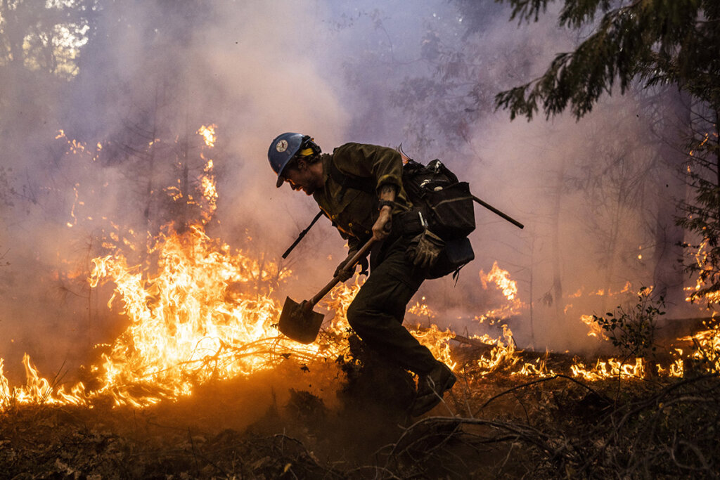 加州野火救援基金