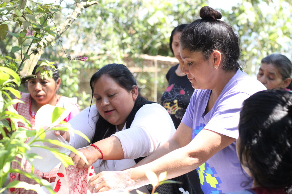 把农村妇女合作社带到第一届墨西哥城活动!