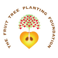 果树种植基金会