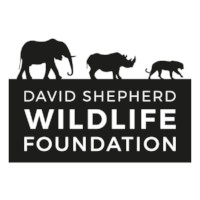 大卫·谢泼德野生动物基金会