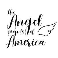 美国天使项目