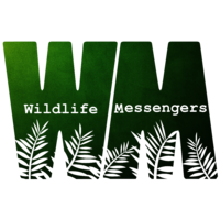 Wildlife Messengers