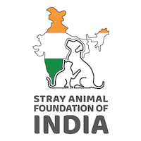 印度流浪动物基金会