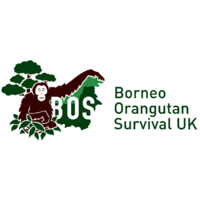 英国婆罗洲猩猩生存有限公司