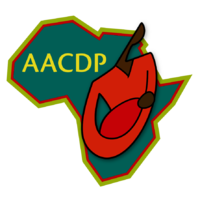 非洲艺术家社区发展项目公司